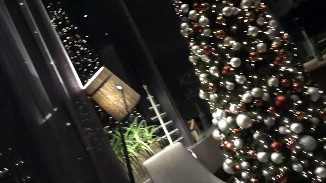 BDMV-253 Aruna & Hari Sharma enjoying Scandic Ishavshotel Christnas Tree Tromsoe Norway Dec 17, 2019