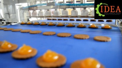 Линия для производства печенья типа сэндвич модель(PSD)