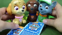 Paw Patrol Mer Pup Toys- Mermaid Magic Skye, Rocky and Zuma Plus All Star Pups and Jungle Rescue Toys-