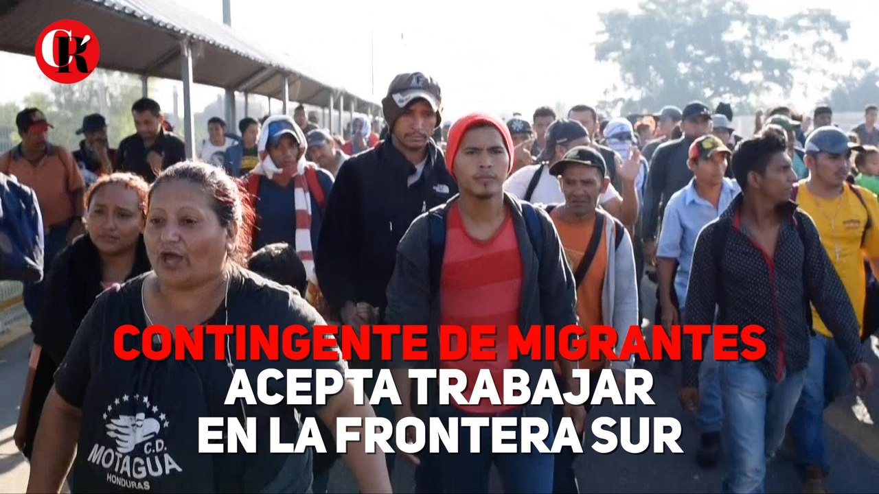 Contingente de migrantes acepta trabajar en la...