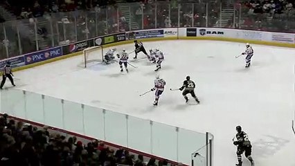 Hershey Bears Vs Rochester Americans