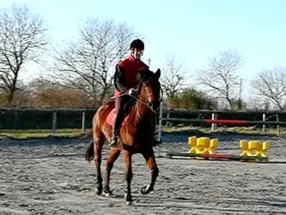 Razi monte au trot