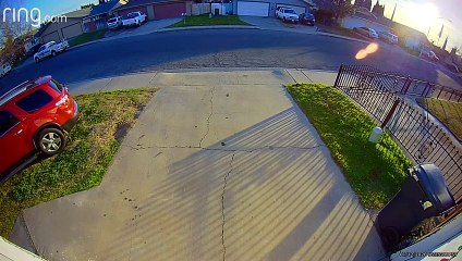 High-Speed Chase Zooms Past