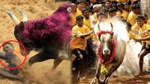 ಅಪಾಯಕಾರಿ ಜಲ್ಲಿಕಟ್ಟು ಕ್ರೀಡೆಯಲ್ಲಿ 60 ಮಂದಿಗೆ ಗಾಯ | Jallikattu | Tamil Nadu | oneindia kannada