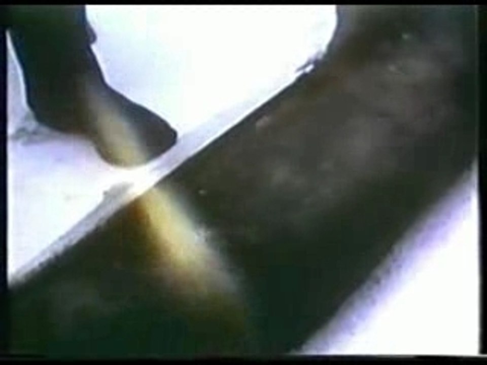 La société elle a mauvaise haleine - Bazar animal