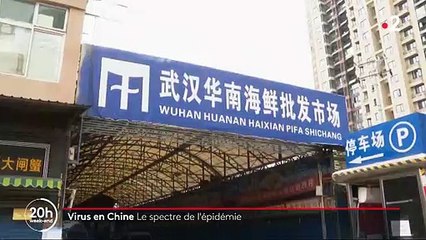 Mystérieux virus en Chine - Le bilan est désormais de 3 morts et des dizaines de personnes malades : L'inquiétude grandit dans le monde entier