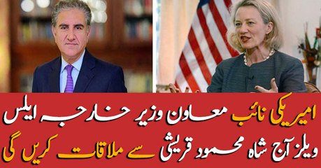 Alice Wells to meet FM Qureshi today