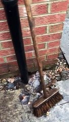 Leeds home from hell - mud bath garden