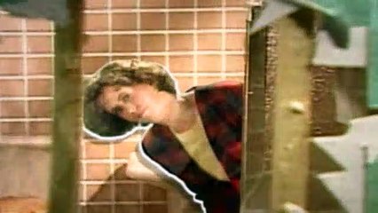 Home Improvement S02E23 To Build Or Not To Build