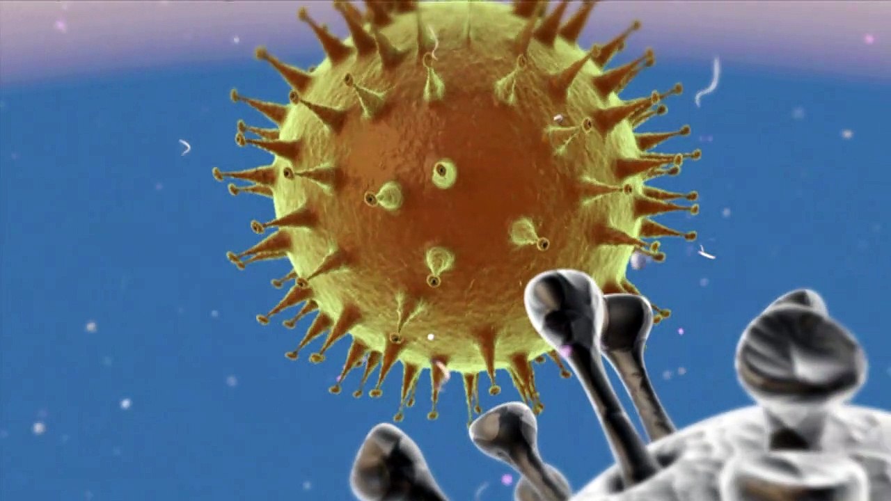 Videografik: Corona-Viren