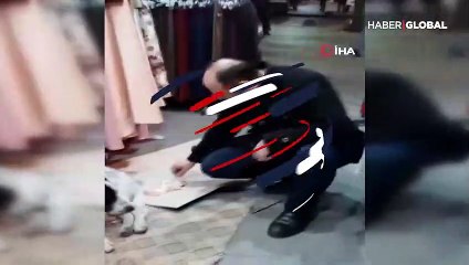 Fırtınadan kaçan köpeği esnaf dükkanında ağırladı