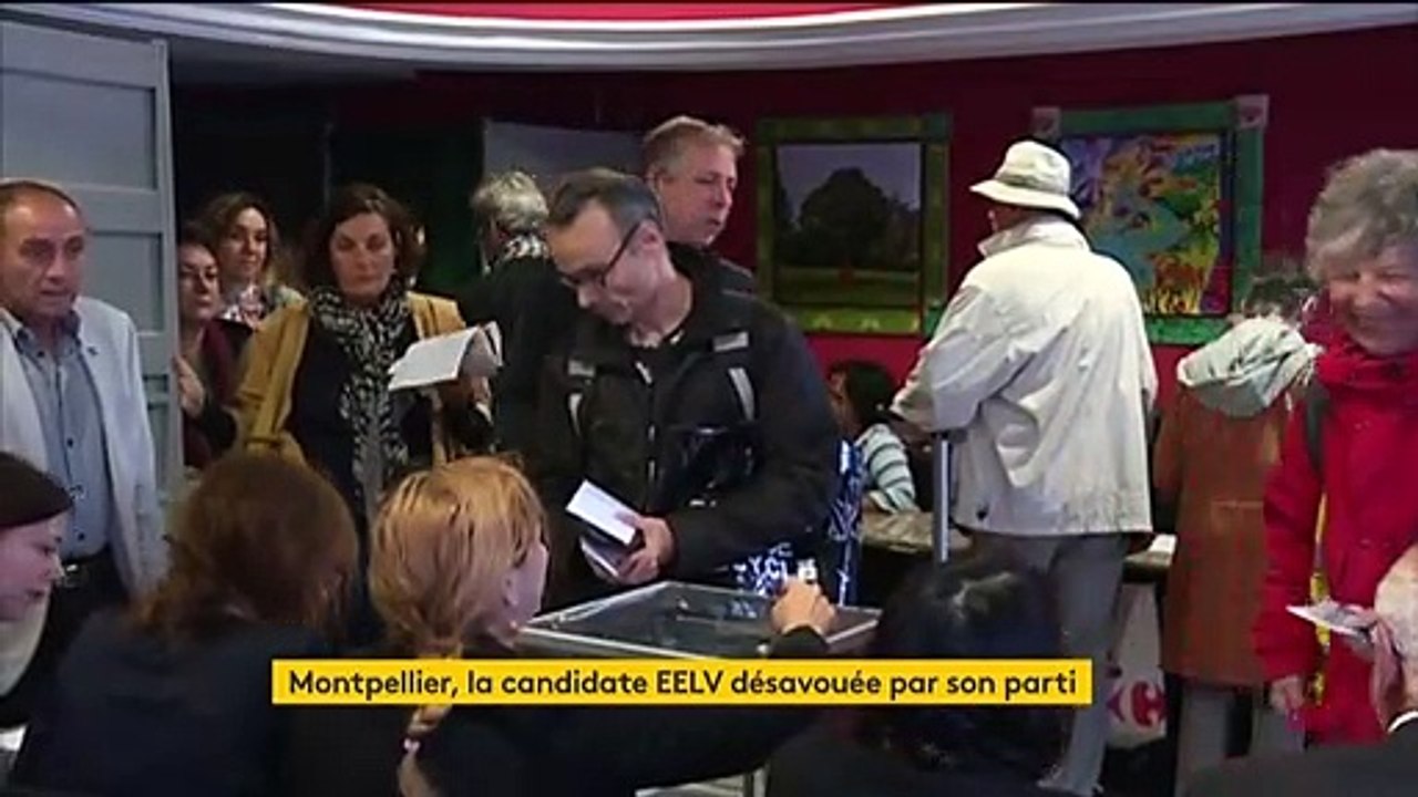 Municipales à Montpellier : les esprits s'échauffent chez les Verts