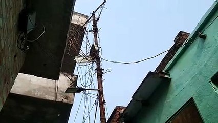 इटावा में बिजली का खंभा जर्जर, बिजली विभाग बेखबर