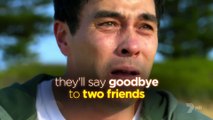 Home And Away 2020 Promo