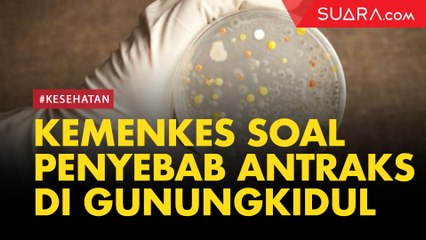 Kemenkes Jelaskan Penyebab Antraks Kerap Muncul di Gunung Kidul