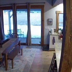 Kitty Faceplants Trying to Play With Friend