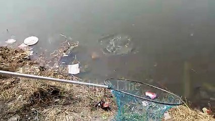 Fishing Competition at Punan catch 2.5 Kg Katla