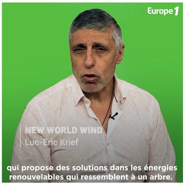 New World Wind : l’arbre qui remplace l’éolienne