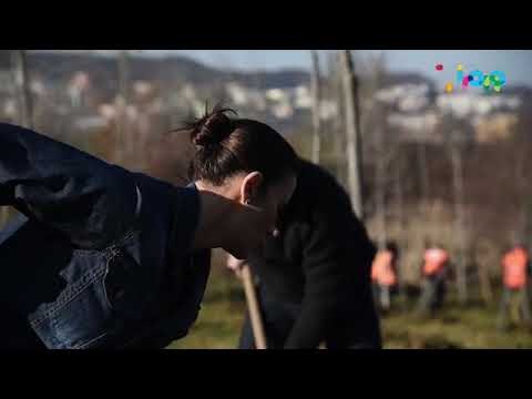 Jonida Maliqi mbjell pemë te liqeni, Veliaj: Më pak tallje, më pak pengesa, ne kemi përveshur mëngët