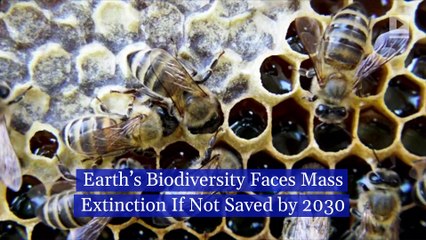 Earth’s Biodiversity Faces Mass Extinction If Not Saved by 2030