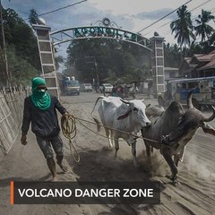 Año orders stop to 'visiting hours' to Taal Volcano danger zone