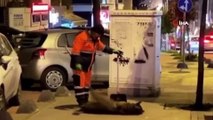 Temizlik işçisi ile sokak köpeği arasındaki sevgi bağı duygulandırdı