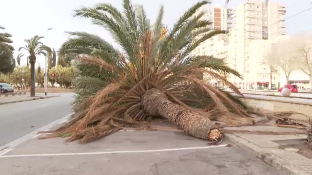 Destrozos por el viento y clases anuladas por la nevada en Cataluña