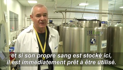 La Pologne, chevalier blanc de la conservation de cellules souches en Europe