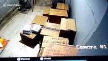 CCTV footage captures thieves stealing more than $20,000 of cigarette cartons in northwest India