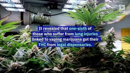 Video herunterladen: 1 in 6 Vaping Lung Illnesses Linked to Legal THC, Says Federal Report