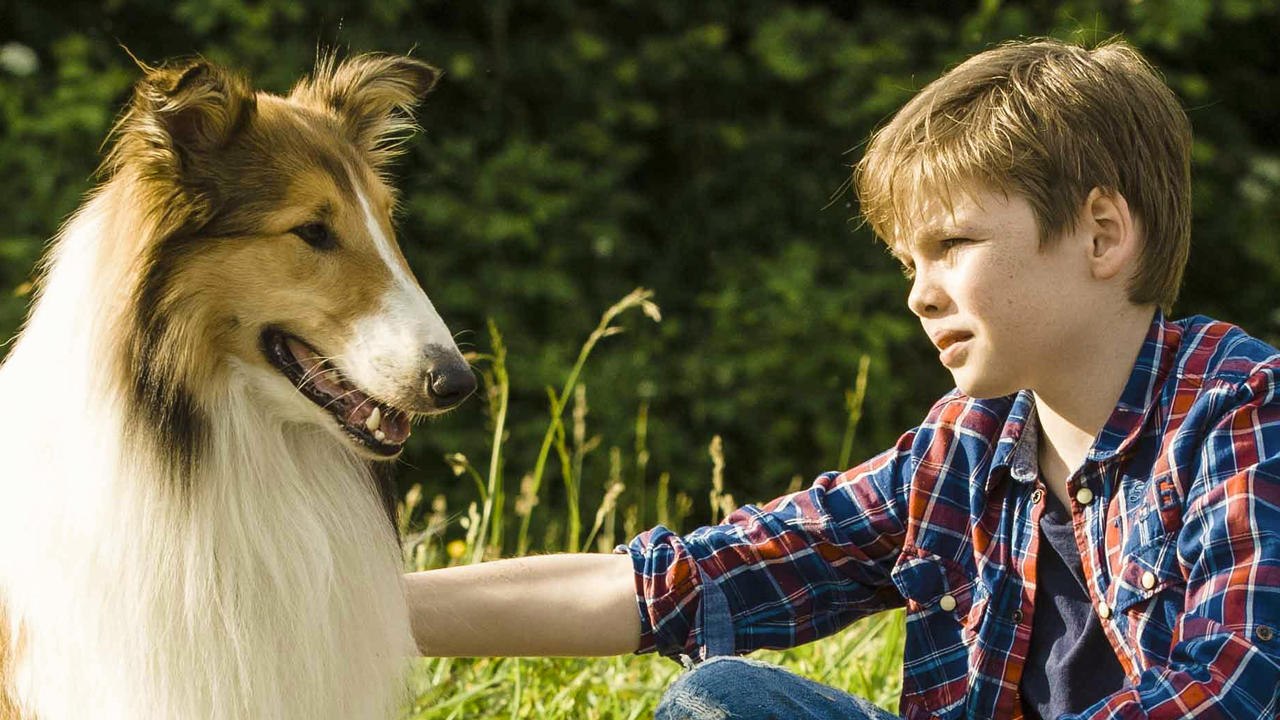 Lassie Eine abenteuerliche Reise - Trailer 1 (Deutsch) HD