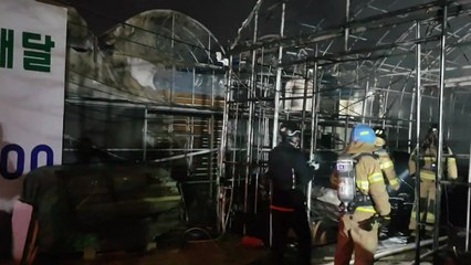 부산 화훼 단지 불...4천4백만 원 피해 / YTN