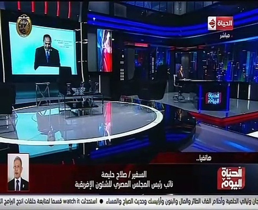 "المصرى للشئون الإفريقية" يطالب القطاع الخاص بز...