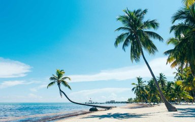 The Best Places to Visit in Florida