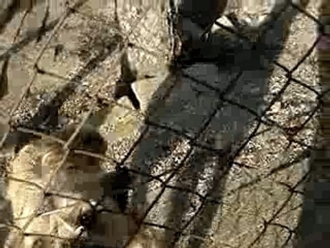 ROTONDE KINOU ET WINKY MOV02161