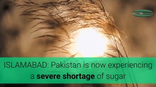 Shortly after wheat, Pakistan experiencing sugar crisis now