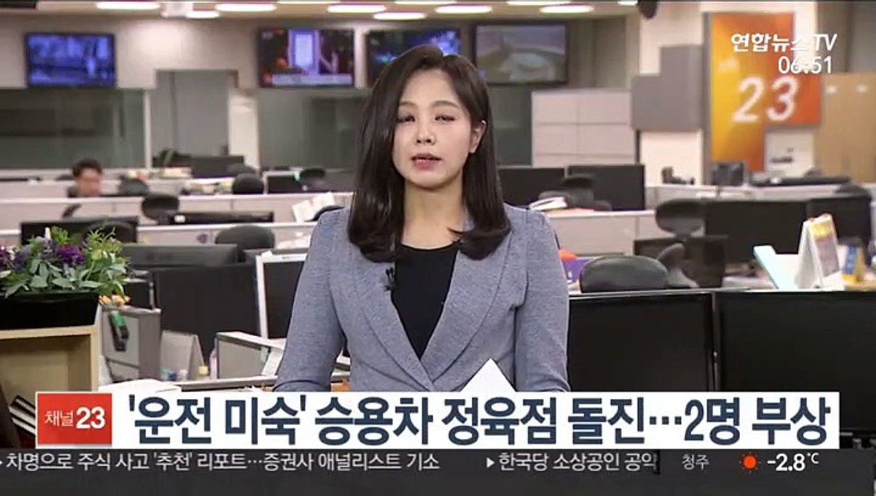 '운전 미숙' 50대 운전자 정육점 돌진…2명 부상