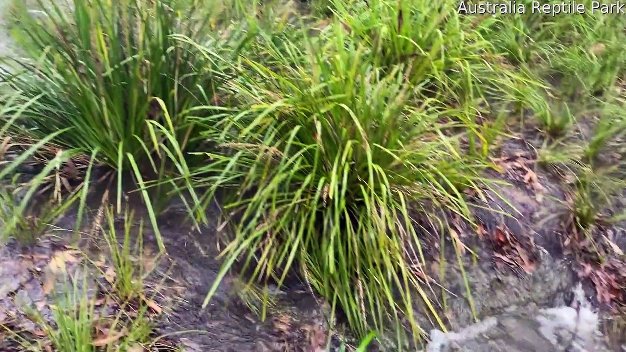 Massive Flooding Causes Problems at Park