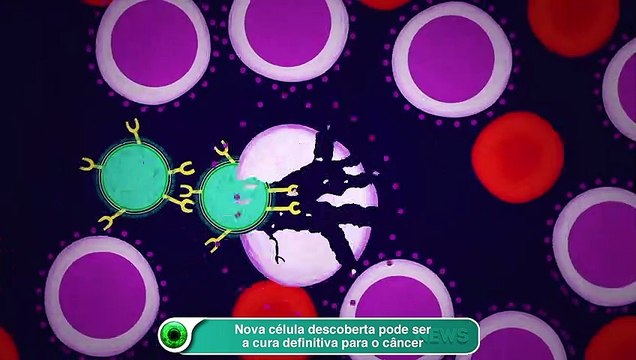 Nova célula descoberta pode ser a cura definitiva para o câncer