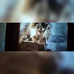 Darbar Hindi fight scene ending