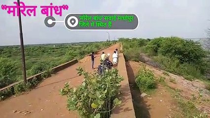 मोरेल बांध पर चली चादर | देखिये प्रकृति का सुन्दर नज़ारा (Morel Dam Rajasthan)