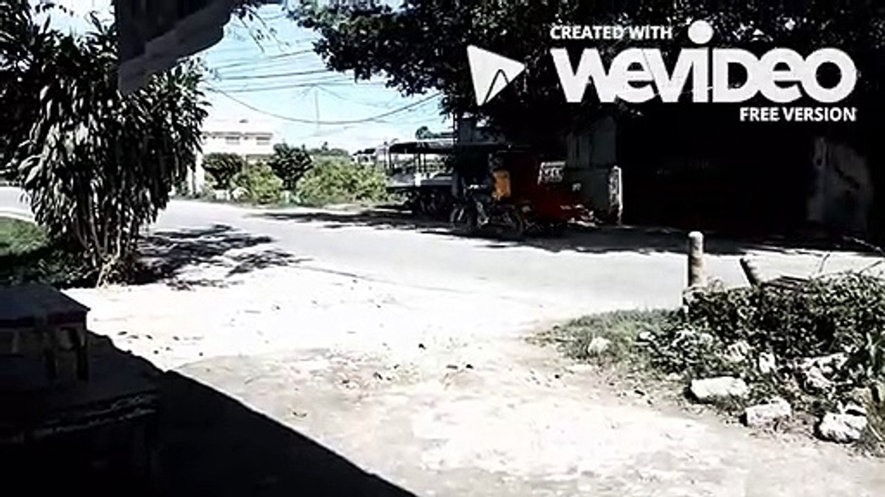 Watching Traffic