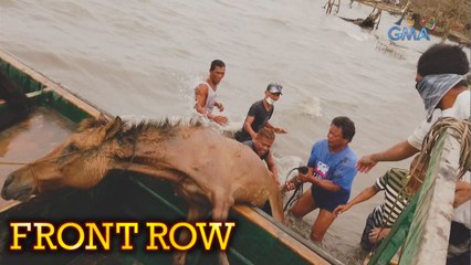 Front Row: Ilang residente, nagbayanihan para masagip ang mga hayop na apektado ng ashfall sa Taal