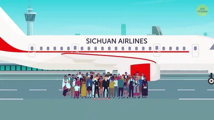 Apa yang Terjadi Jika Seseorang Memecahkan Jendela di Tengah Penerbangan