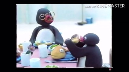 Pingu’s New year dinner with a guest