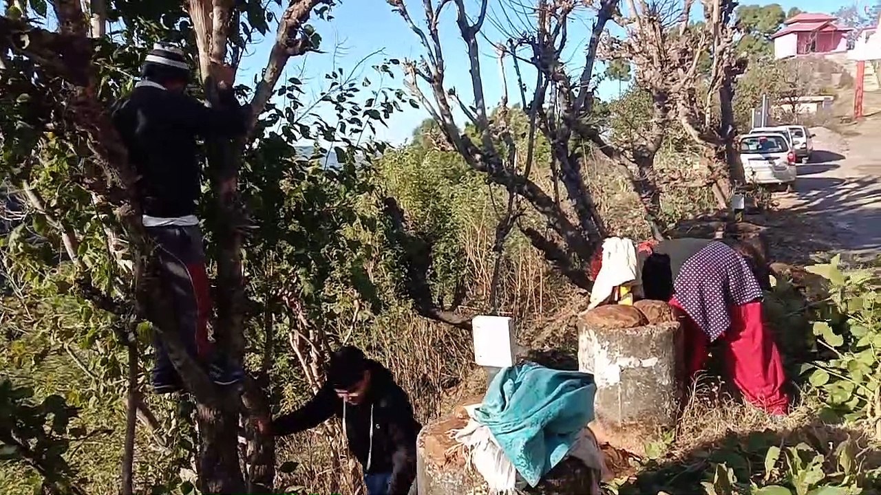 Aaiye milata hun kisi  se aaij apko ,Himachal phadi kam