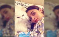 Gangubai Kathiawadi Actress Alia Bhatt Hurts Her Back; Little Kitty Eddie Gives A Health Update