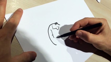 Guy Delisle : Comment apprendre à dessiner ? (Best of)