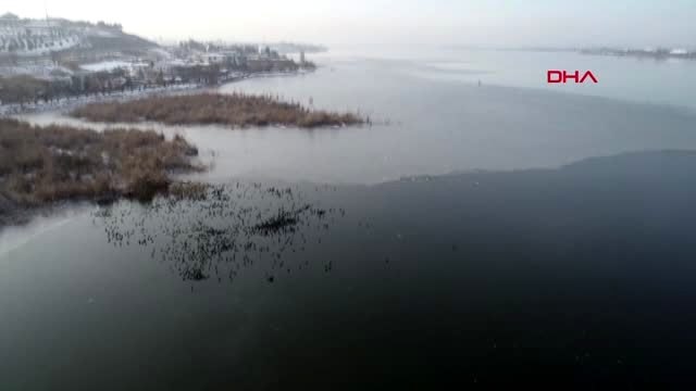 Ankara'da mogan gölü kısmen buz tuttu