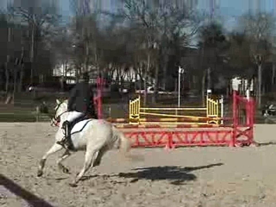 B1 Grand Prix, ILOT & THAIS